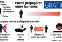 Coronavirus: el Gobierno suspende por 14 dÃas las clases en todos los niveles del paÃs